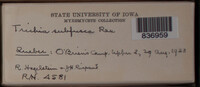 Image Associated With the Occurence